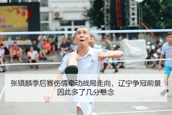 张镇麟季后赛伤情牵动战局走向，辽宁争冠前景因此多了几分悬念